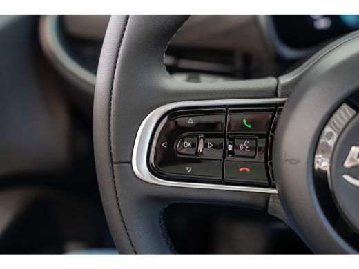 Fiat 500E Giorgio Armani Edition 42 kWh Automaat ActivLease financial lease