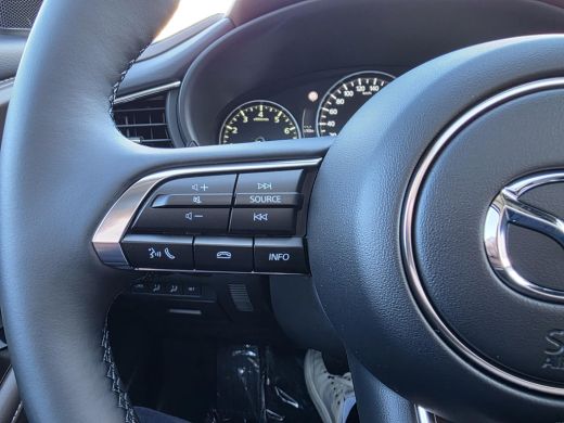 Mazda CX-30 2.0 e-SkyActiv-X M Hybrid Takumi Schuifkantel dak | Automaat | Stoelgeheugen | Draadloze Apple ca... ActivLease financial lease