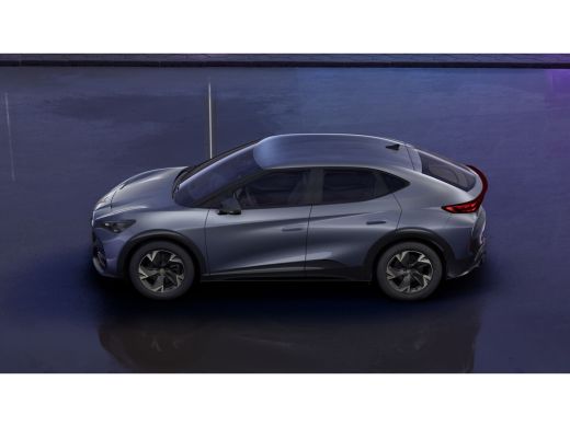 Seat Tavascan Essential 82 kW ActivLease financial lease