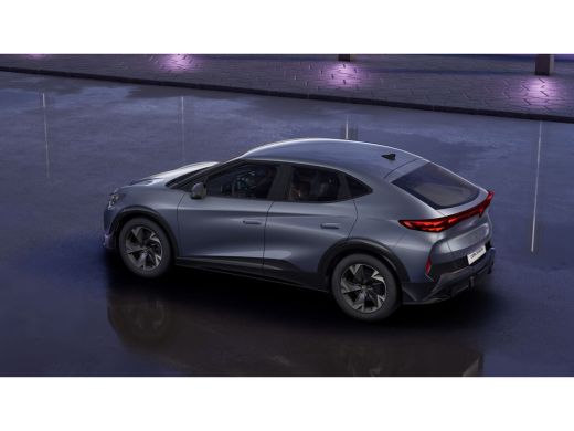 Seat Tavascan Essential 82 kW ActivLease financial lease