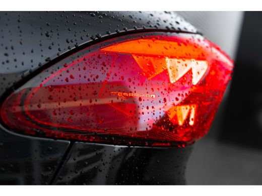 Seat Terramar VZ Performance | Sennheiser | Ambient Light | Dynamic chassis control | Panorama schuif kanteldak... ActivLease financial lease