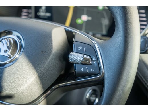 Skoda Fabia Škoda 1.0 TSI Business Edition | Navigatie-pakket | Trekhaak ActivLease financial lease