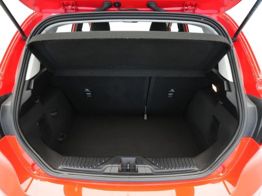 Ford Fiesta 1.0 EcoBoost Titanium Navi via App Clima Pdc Lm Velgen 307 ActivLease financial lease