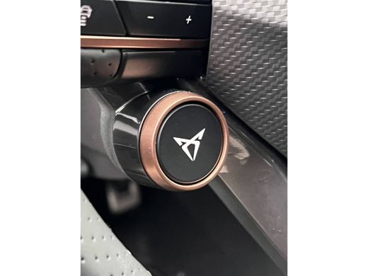 Seat Terramar 1.5 TSI e-Hybrid VZ Performance ActivLease financial lease