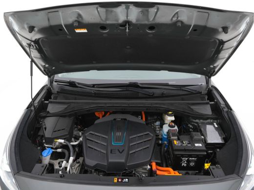 Kia e-Niro DynamicPlusLine 64 kWh [ 3-Fase ] (INCL-BTW) Aut. *FULL-LEATHER | NAVI-FULLMAP | DAB | ADAPT.CRUI... ActivLease financial lease