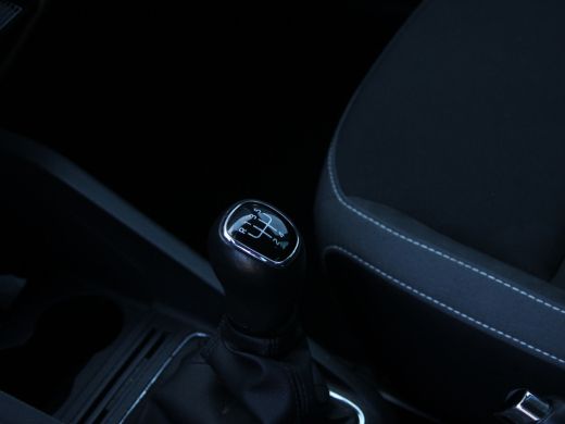 Skoda Fabia Combi 1.0 TSI Business Edition CAMERA | STOELVERW | ActivLease financial lease