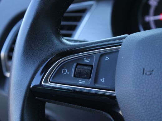 Skoda Fabia Combi 1.0 TSI Business Edition CAMERA | STOELVERW | ActivLease financial lease