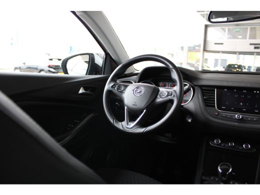 Opel Grandland X 1.2 Turbo Business Executive | Dodehoek detectie | Koplampen adaptief | Lichtmetalen velgen 18" ActivLease financial lease