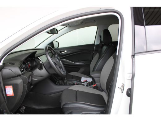 Opel Grandland X 1.2 Turbo Business Executive | Dodehoek detectie | Koplampen adaptief | Lichtmetalen velgen 18" ActivLease financial lease