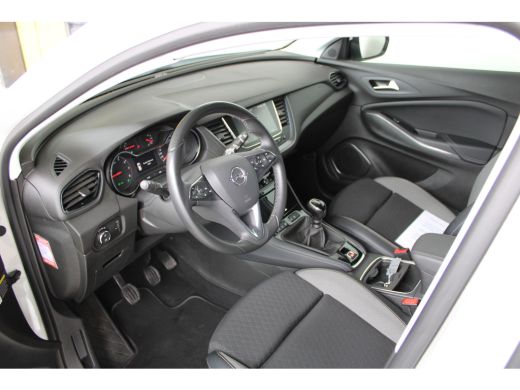 Opel Grandland X 1.2 Turbo Business Executive | Dodehoek detectie | Koplampen adaptief | Lichtmetalen velgen 18" ActivLease financial lease