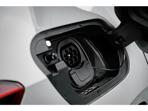 Seat Born Business 63 kWh Private lease ACTIE 439,- p/m ActivLease financial lease