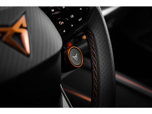 Seat Born Business 63 kWh Private lease ACTIE 439,- P/M ActivLease financial lease