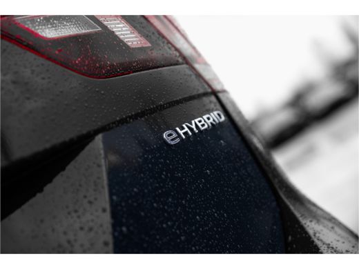 Volkswagen Tiguan 1.4 TSI 245pk eHybrid Business+ | PDC V+A | ACC | Climate Control | Verwarmde voorstoelen | Stuur... ActivLease financial lease
