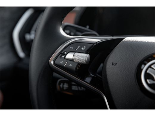 Skoda Kodiaq 1.5TSI 204pk PHEV Business Edition | Panoramadak | Leder interieur | Adapt. Cruise | Camera rondom ActivLease financial lease