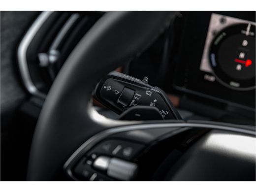 Skoda Kodiaq 1.5TSI 204pk PHEV Business Edition | Panoramadak | Leder interieur | Adapt. Cruise | Camera rondom ActivLease financial lease
