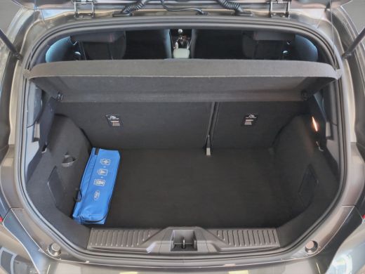 Ford Fiesta 1.0 EcoBoost ST-Line X | B&O Audio | Cruise Control | Climate Control ActivLease financial lease