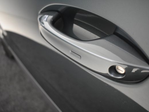 Seat Formentor 1.4 e-Hybrid Performance 245pk | Adaptief cruise control | Navigatie | Dodehoekdetectie | Park as... ActivLease financial lease