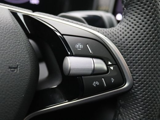 Skoda Kodiaq 1.5 TSI MHEV Business Edition 150PK DSG matrix led, trekhaak, schuif-kanteldak, achteruitrijcamer... ActivLease financial lease