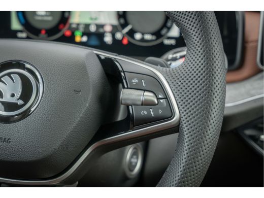 Skoda Kodiaq Škoda 1.5 TSI 204pk PHEV Business Edition | Trekhaak| Cognac Leer| 360 camera| Pan-Dak | ActivLease financial lease