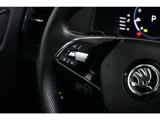 Skoda Karoq 1.5 TSI 150 pk ACT Business Edition 7-DSG | Panoramadak | Achteruitrijcamera | Apple carplay | ActivLease financial lease