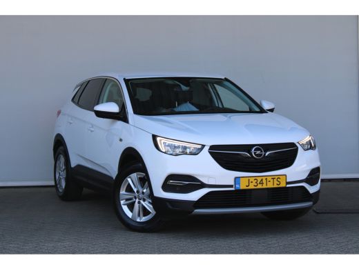Opel Grandland X Opel 1.2 Turbo Business Executive | Apple Carplay/Android Auto|telefoonintegratie premium | Comfo... ActivLease financial lease