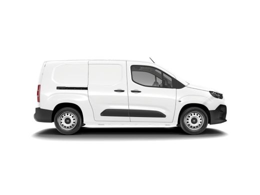 Fiat Doblò Fiat Professional Standaard ActivLease financial lease