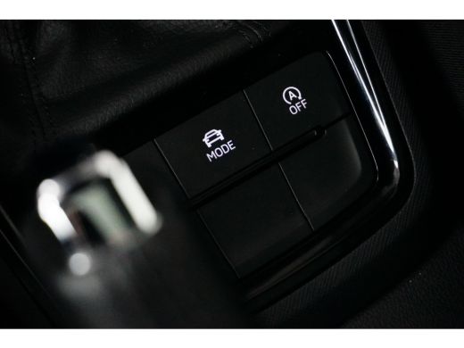 Skoda Kamiq 1.0 TSI 110PK DSG-7 Sport Business | PANORAMADAK | CAMERA | 18 INCH ActivLease financial lease
