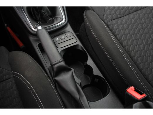 Ford Fiesta Ford 1.0EB HYBRID TITANIUM | NL-AUTO! | DEALER OH! | APPLE CARPLAY & ANDROID AUTO | PARKEERSENSOR... ActivLease financial lease