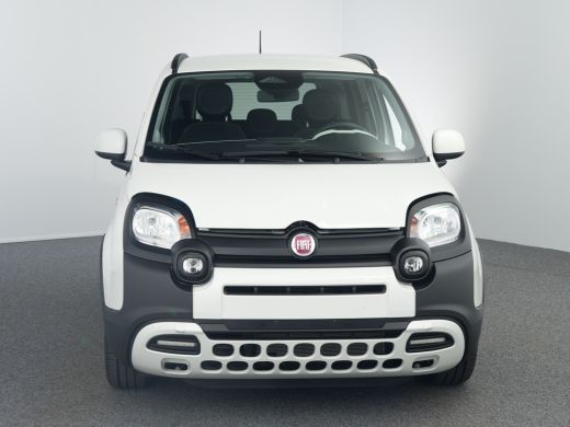 Fiat Panda City | 15" lichtmetalen velgen (185/55 R15) | Dakrails in het zwart | Extra getint glas achter ActivLease financial lease