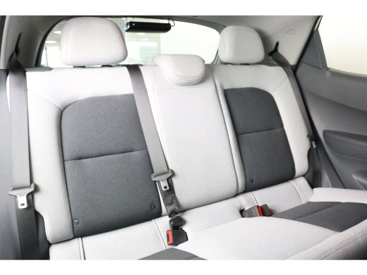 Opel Ampera-E Business executive 60 kWh 204 | Camera | Voorstoelen verwarmd | Stuur verw. | Xenon | Parkeerseno... ActivLease financial lease