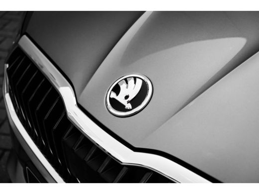 Skoda Fabia Selection Inclusief €3000,- inruilvoordeel | Airconditioning | Cruise control met speedlimiter | ... ActivLease financial lease