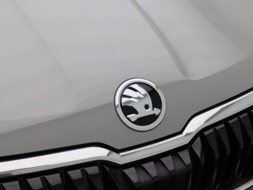 Skoda Karoq 1.0 TSi 110 Pk Business Edition | Navigatie | Trekhaak | 16 Inch | Climate Controle | Elektrische... ActivLease financial lease