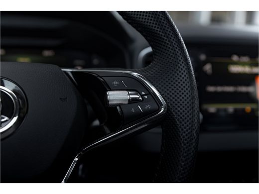 Skoda Karoq 1.5 TSI ACT Business Edition | Panoramadak | Camera | Carplay ActivLease financial lease