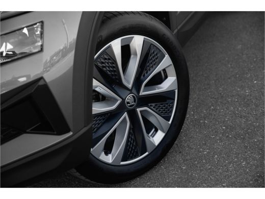Skoda Karoq 1.5 TSI ACT Business Edition | Panoramadak | Camera | Carplay ActivLease financial lease