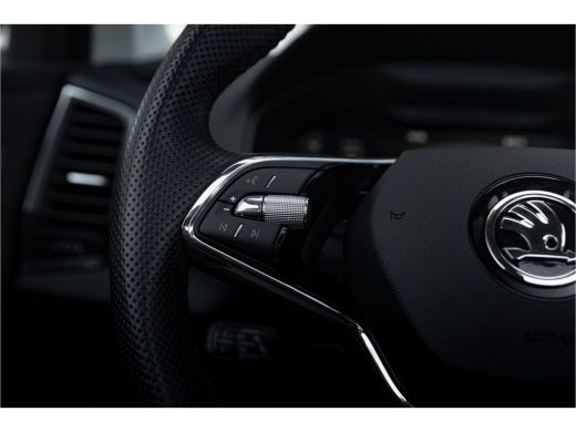 Skoda Karoq 1.5 TSI ACT Business Edition | Panoramadak | Camera | Carplay ActivLease financial lease