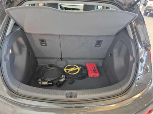 Opel Ampera-E Business executive 60 kWh | Achteruitrijcamera | Electronic climate controle | Keyless entry ActivLease financial lease