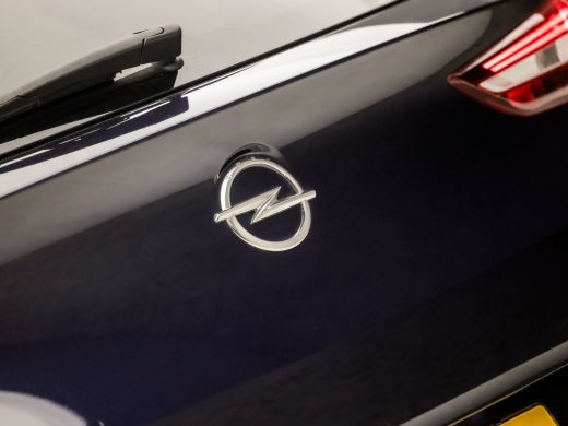 Opel Grandland X 1.2 Turbo Executive Sport (APPLE CARPLAY, GROOT NAVI, CAMERA, GETINT GLAS, SPORTSTOELEN, LEDER, L... ActivLease financial lease
