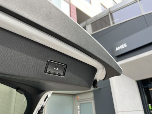 Seat Tavascan Business Elektromotor 210 kW / 286 pk SUV Elektrische aandrijving ActivLease financial lease