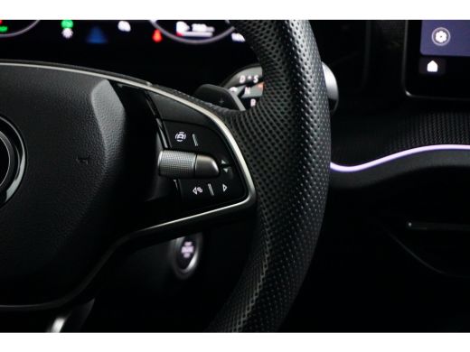 Skoda Kodiaq 1.5 TSI MHEV Business Edition 7p. | 2 stoelen op derde rij | Achteruitrijcamera | Matrix LED kopl... ActivLease financial lease