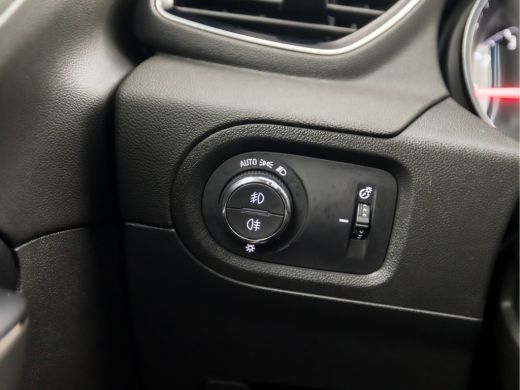 Opel Grandland X 1.2 Turbo Business Executive Automaat (APPLE CARPLAY, GROOT NAVI, ADAPTIVE CRUISE, DENON AUDIO, C... ActivLease financial lease