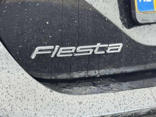 Ford Fiesta 1.0 EcoBoost Mild Hybrid Titanium 139 PK | Winterpakket | Apple Carplay/Android Auto | All season... ActivLease financial lease