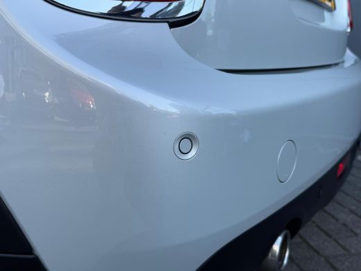 Mini Cooper 1.5 136pk Business Edition | Led | Climate | Carplay | Navigatie | 16" Lichtmetaal | Cruisecontro... ActivLease financial lease