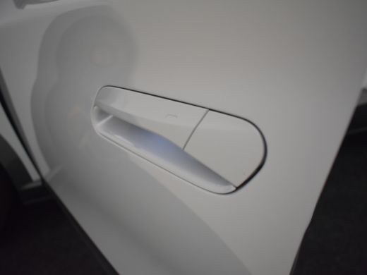 CUPRA Tavascan VZ Adrenaline 82 kWh 340pk | Head up display | Panorama dak | Elektrische stoelen  met geheugen |... ActivLease financial lease