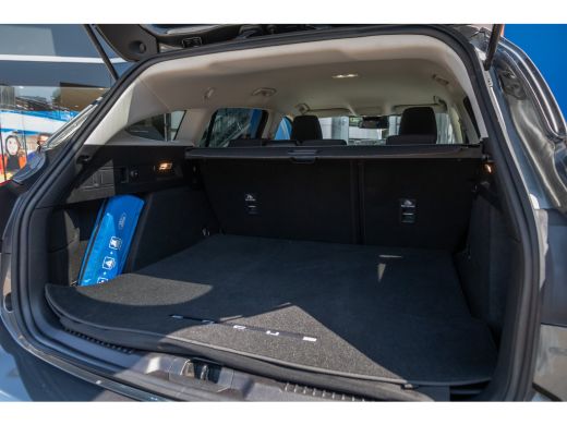 Ford Focus 1.0 EcoBoost Titanium Business| Winterpack | Cruise control adaptief | B&O | Apple Carplay/Androi... ActivLease financial lease