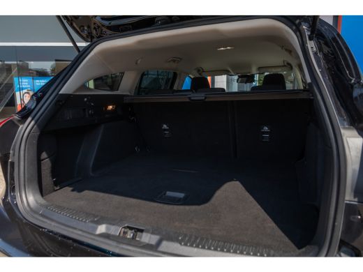 Ford Focus 1.0 EcoBoost Trend Edition Business | Stoel/stuur/voorruit verwarming | Achteruitrijcamera | Appl... ActivLease financial lease