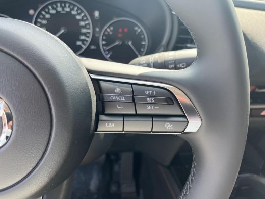 Mazda CX-30 2.0 e-SkyActiv-X M Hybrid Nagisa 186PK | half leder | Navigatie | BOSE Audio | ActivLease financial lease