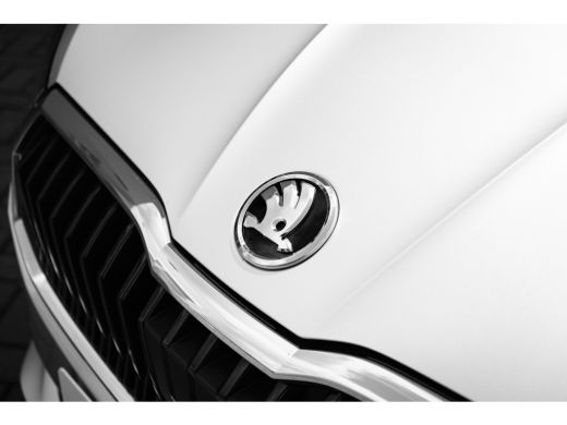 Skoda Fabia Selection | Airconditioning | Cruise control met speedlimiter | Driver Activity Assistant, vermoe... ActivLease financial lease