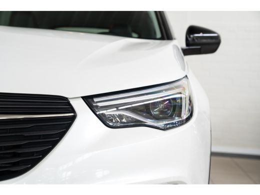 Opel Grandland X 1.2 Turbo Automaat Business Executive | Navigatie | AGR | Parkeersensoren | Climate Controle | Ke... ActivLease financial lease