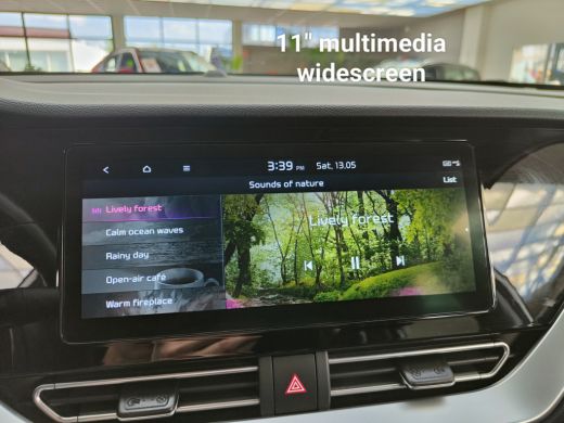 Kia e-Niro ExecutiveLine 64 kWh/204 pk/Adaptive/3-fase/2022/Cam./Full-led ActivLease financial lease