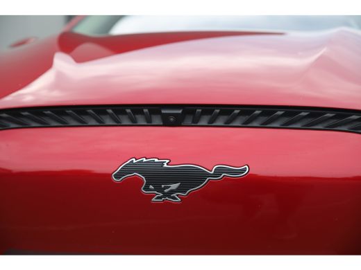 Ford Mustang Mach-E Mach-E / RWD 75 kWh 259pk/Adaptive/Pano-dak/Leder/360Cam/3-fase ActivLease financial lease